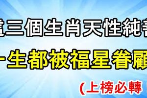 這三個生肖天性純善，一生都被福星眷顧！上榜必轉！