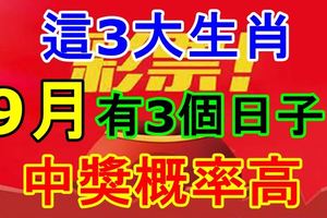 這3大生肖，9月有3個日子中獎概率高！一定要知道！