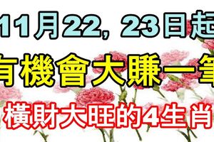 11月22.23日起有機會大賺一筆，橫財大旺的4生肖！