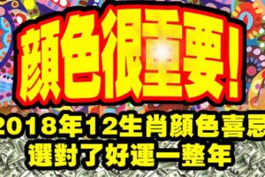 顏色很重要！2018年12生肖顏色喜忌，選對了好運一整年！