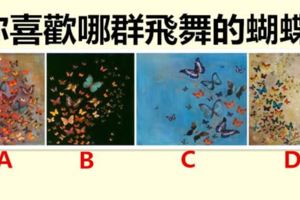 你喜歡哪群飛舞的蝴蝶，測你是真的喜歡身邊的人嗎