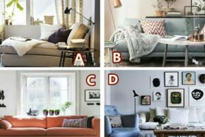 假如很累，你會坐哪個沙發休息？測你內心最依賴誰？
