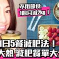 不用節食1個月減2kg！日本女醫師公開「一日五餐減肥法」減肥餐單