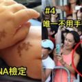 20張「你肯定會放下手上所有在忙的事，只為了看一眼」的超療癒照片！