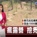 台灣露營亂象》業者刨山蓋營地玩家陷土石流危險區(youtube)
