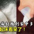 「萬靈藥」她睡前把「小蘇打」撒到家中多個角落裡，第二天起床看呆了「太實用了」