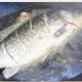 煎魚用「冷油」還是「熱油」下鍋？怪不得破皮，教您幾招，不沾不碎不破皮！！