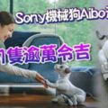 Sony機械狗Aibo進軍美國售價1隻逾萬令吉