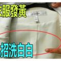 白色衣服發黃，用這個方法就能洗白