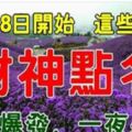 12月28日開始，這些生肖，被財神點名，一夜暴富再也不是夢