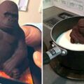 「大猩猩巧克力」做太真該怎麼吃？　日網友崩潰：先讓它泡澡…