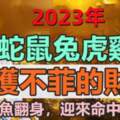 2023年收獲不菲的財富，鹹魚翻身，迎來命中貴人的生肖