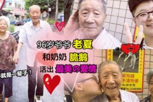 台灣網紅「老夏」爺爺走了,60年獨寵一人感動了億萬網友…這大概是世間最美好的愛情❤