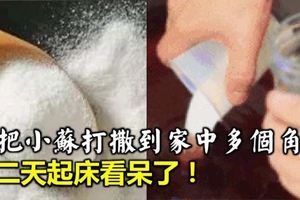 「萬靈藥」她睡前把「小蘇打」撒到家中多個角落裡，第二天起床看呆了「太實用了」