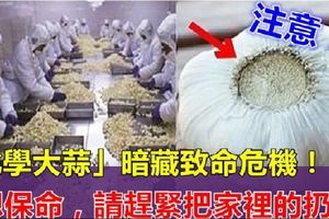 注意！！你家還在買這樣的大蒜嗎？「化學大蒜」暗藏致命危機！對呼吸、中樞神經係統損害嚴重，甚至死亡！家裡有的趕緊扔掉