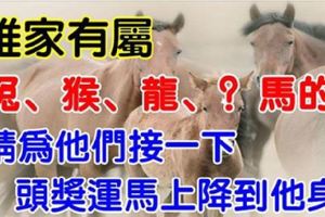 誰家有屬【兔猴龍馬？】的人嘛，最近會有頭獎運，請為他接一下！