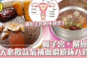 冬天要益氣補血！暖宮、解M疼必飲燜燒杯八珍湯