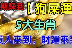 近期踩到【狗屎運】的5大生肖，貴人來到，財運來到