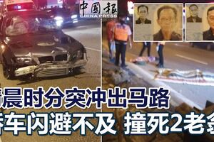 2名華裔老翁，清晨時分突沖出馬路，轎車閃避不及將他們雙雙撞死！