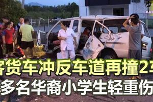 客貨車沖反車道再撞2車多名華裔小學生輕重傷