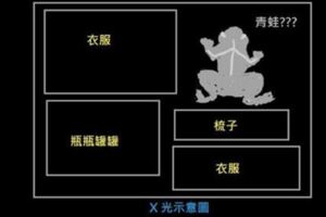 在機場被攔！安檢看到X光機愣住「箱子怎麼有青蛙」　她打開行李「發現真的有」現場笑翻