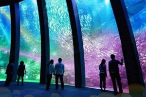 全台第一座國際水族館將登場！　結合「五星飯店、影城、OUTLET」腿軟預定