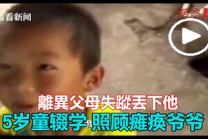 5歲童輟學照顧癱瘓爺爺惹哭網民