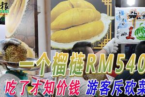 一個榴槤RM540！吃了才知價錢遊客斥砍菜頭