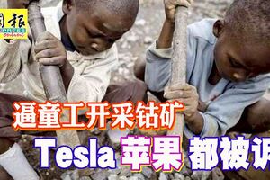 逼童工開采鈷礦全球5家科技業巨擘，Tesla蘋果都被訴