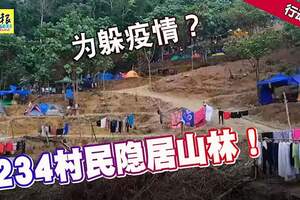 為躲疫情？234村民隱居山林！執法人員都嘆為觀止！