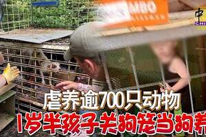 虐養逾700隻動物1歲半孩子關狗籠當狗養