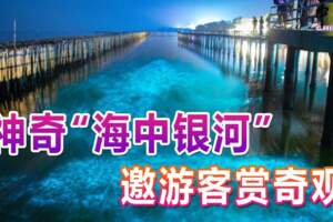 神奇「海中銀河」邀遊客賞奇觀