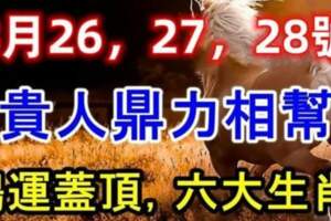 8月26，27，28號鴻運蓋頂，貴人鼎力相幫的六大生肖