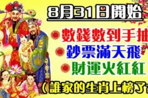 8月31日開始數錢數到手抽筋，鈔票滿天飛，財運火紅的生肖