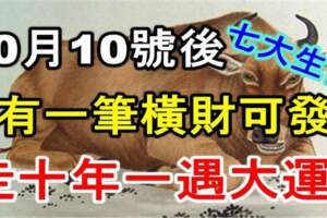 10月10號後有一筆橫財可發，走十年一遇大運的七大生肖