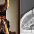 埃及發現的狗面木乃伊，不照X光還好，一照才發現裡面竟然藏著這麼恐怖的東西，實在太殘忍了！