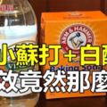 當「醋」遇見「小蘇打」後的神奇功效！