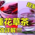 50種花草茶的功效詳解！防癌、養生、減肥、美容養顏......趕緊存好！！！