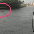 雨神同行！紅車慘遭滅頂網驚：開啟潛艇模式？