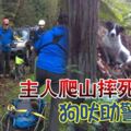 主人爬山摔死狗吠助警搜尋