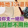 ​每天拖地3次還是髒？這個方法有效去除地板上的污漬