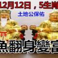 12月12日土地公保佑，鹹魚翻身變富豪的五生肖