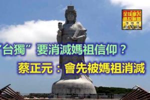 「台獨」要消滅媽祖信仰？蔡正元：會先被媽祖消滅