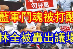 防林全又被轟出議場！決戰前瞻綠營今擬直接付委審查