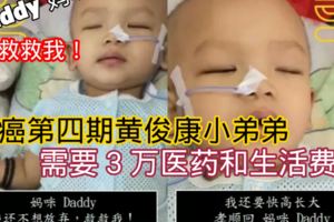 【媽咪，Daddy，我還不想放棄，救救我！】【我還要快高長大孝順回Daddy和媽咪】【腦癌第四期黃俊康小寶寶需3萬醫藥與生活費】