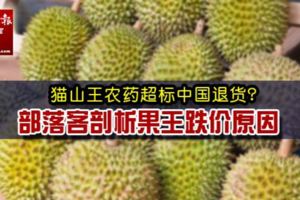 貓山王農藥超標中國退貨？部落客剖析果王跌價原因