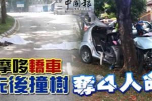 摩哆轎車先後撞樹奪4人命