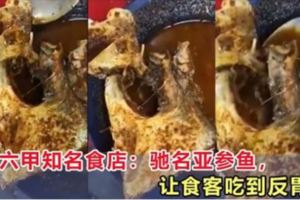 馬六甲知名食店：馳名亞參魚，讓食客吃到反胃！