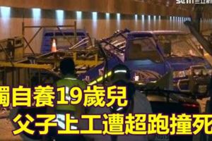 獨自養19歲兒父子上工遭超跑撞死