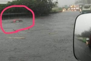 雨神同行！紅車慘遭滅頂網驚：開啟潛艇模式？